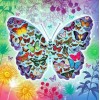 Butterflies inside a butterfly