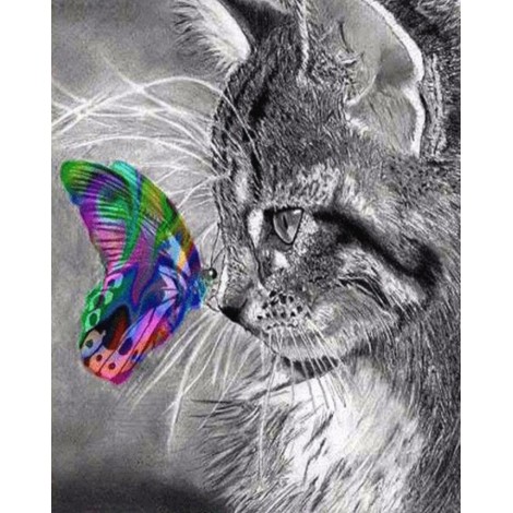 Cat and colourful butterfly