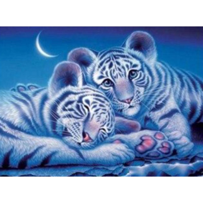 Tiger cubs cuddling