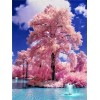 Pink tree