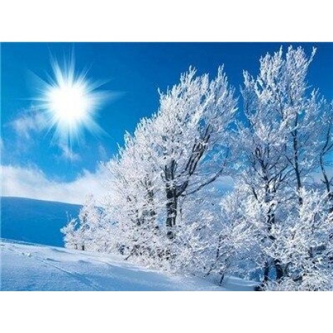 Trees covered by snow