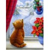 Kitty looking outside a window