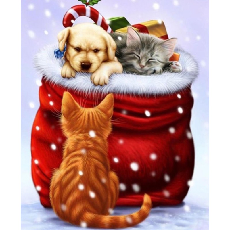 Dog and kitties at c...