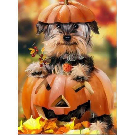 Puppy inside halloween pumpkin