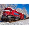 Train the snow