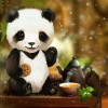 Baby panda eating biscuits