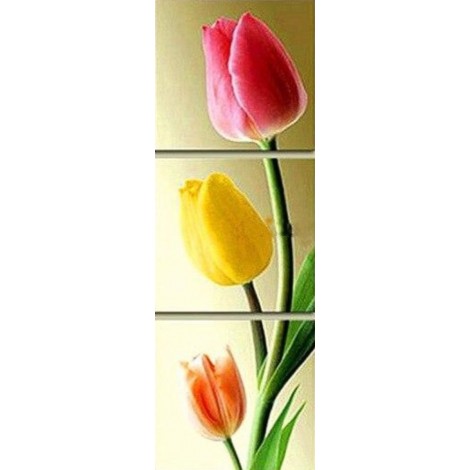 Tree colour tulip flowers 3 Pieces set