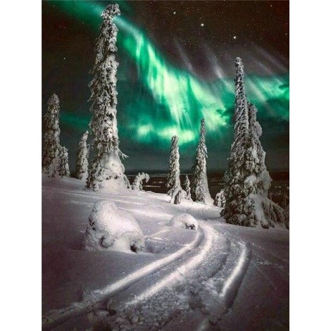 Green northern lights in the snow