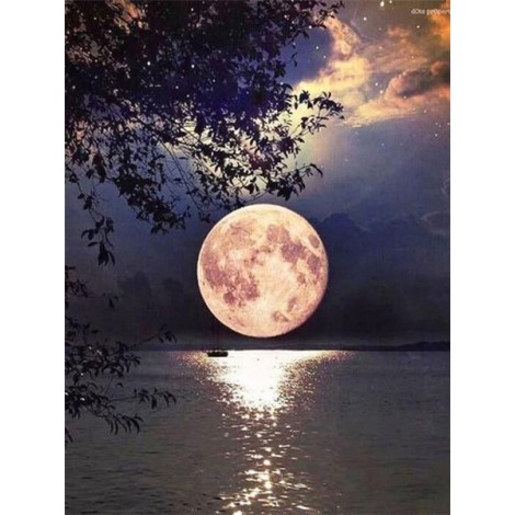 Romantic Moonlight