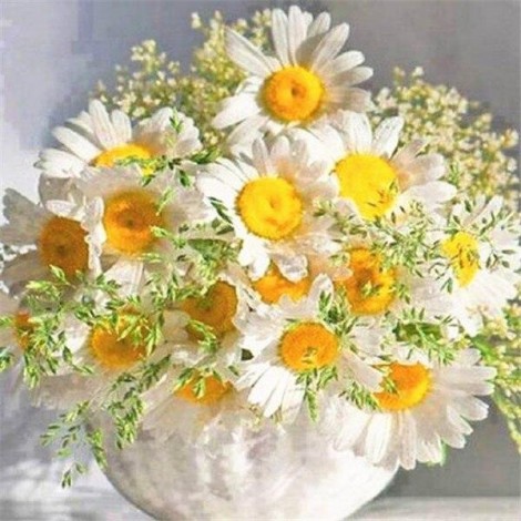 Pot of daisies