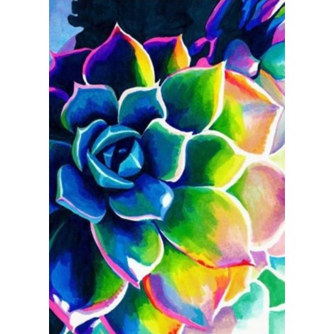 Multicoloured succulent close view