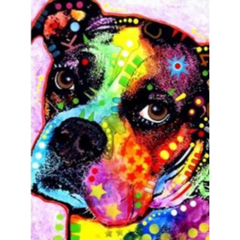 Colourful boxer