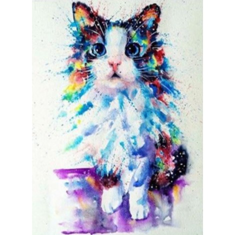 Colourful cat
