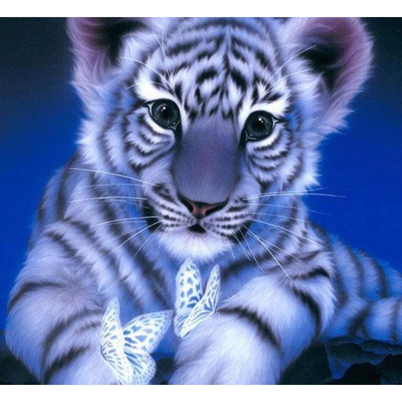 The tiger and the bu...