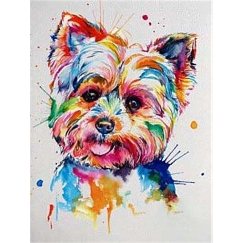 Colourful westie