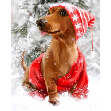 Dachshund enjoying Christmas