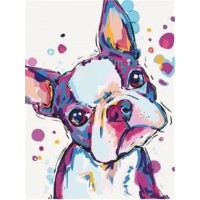 Colourful frenchie with h...