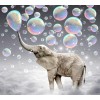 Elephant blowing bubbles